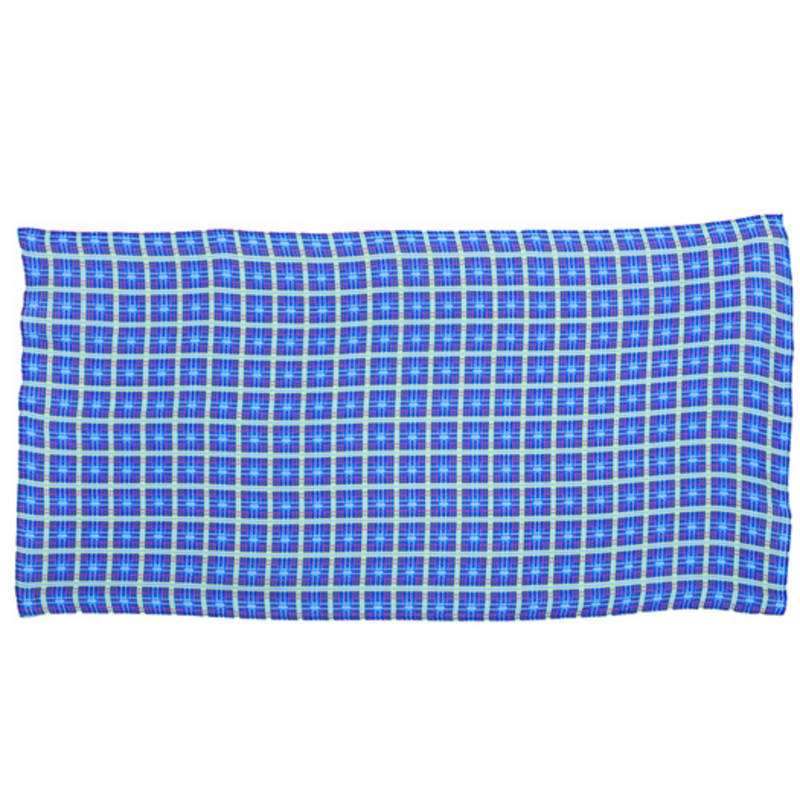 OGI Blue Butterfly Check Scarf Rectangle