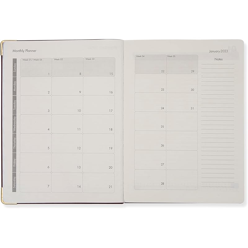

DOODLE 2023 Dated Executive Diary Planner | B5 Size | One-Day-to-a-Page New Year Diary with Metal Corner & Two Bookmarks B5