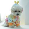 Cartoon Winter Puppy Clothes Colorful Style Dog Cosplay Apparel Pet Dinosaur Costume  Autumn Winter