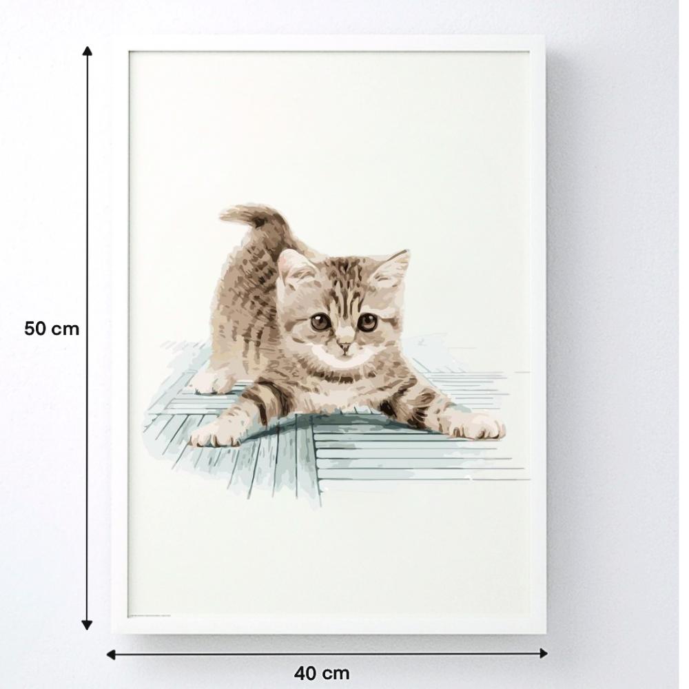 Malowanie Po Numerach Z Ramą Obrazy Do Malowania - Niezdarny Kot 40X50 Cm