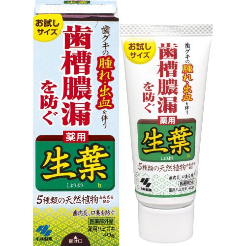 Fresh Leaf (Shoyo) Trial Size Medicinal Toothpaste to Prevent Periodontal Disease, Japanese and Chinese Herbal Flavor, 40g
