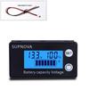LCD Power Meter for 8-100V Electric Vehicle Batteries (Lead-Acid and Lithium)