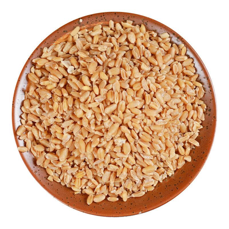 Chá de ervas orgânico de trigo de alta qualidade selecionado, especialidade chinesa 500g