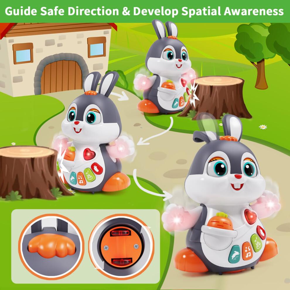 Wanonoo Easter Bunny Toys for 6 To 12 Months Baby Musical Crawling Toy for 1 Year Old Gilrs Boys, Light Up Walking Interactive Toys, Easter Gifts for