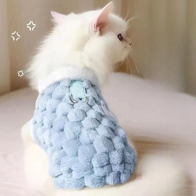 Vestiti per cani Vestiti per cani e gatti Autunno e inverno Articoli per animali domestici Teddy Cat Cappotto di cotone Scarab Velluto Gilet per tenersi al caldo