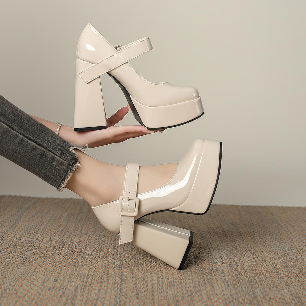Square Head Mary Jane Women's Shoes Spring 2025 New Black Shoes Thick Heel Single Shoes Femininity Retro High Heels