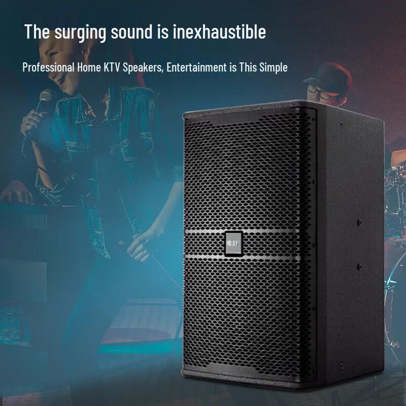 Weishu BM-10 Professional Full-Range Audio Speaker (CN Version)