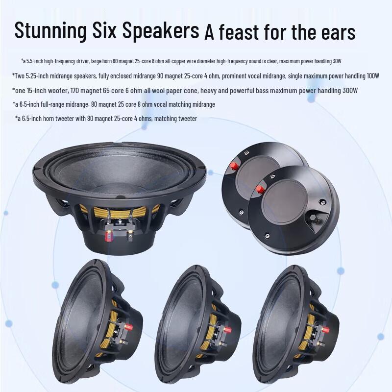 Huido DP-151 Portable Outdoor Conference Speaker (CN version)