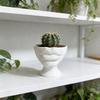 Interesting Lip Flowerpot Shaped Ornaments, Pot Containers, Succulent Flowerpot Containers, Home and Living Room Decorations