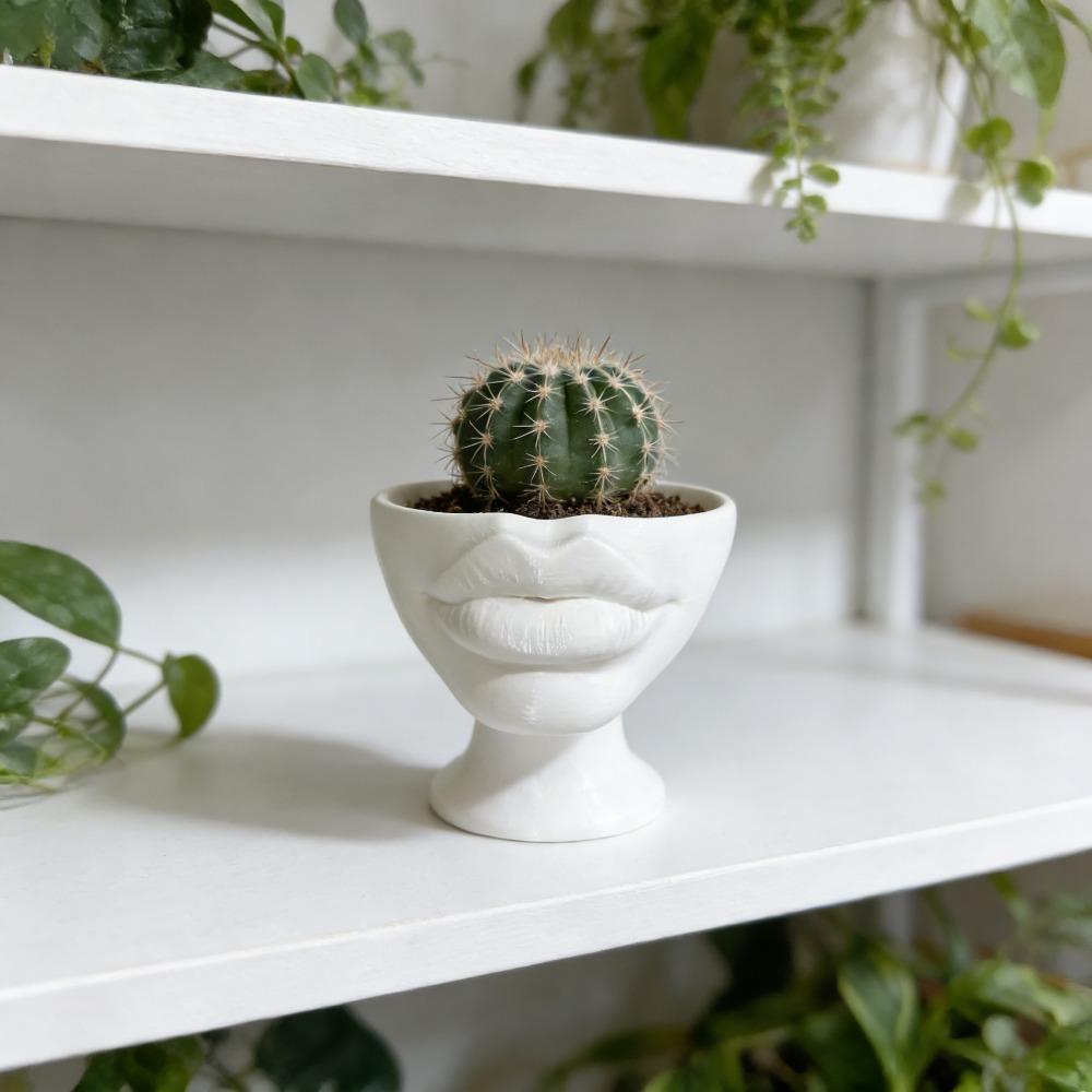 Interesting Lip Flowerpot Shaped Ornaments, Pot Containers, Succulent Flowerpot Containers, Home and Living Room Decorations