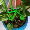 4Pcs Climbing Plants Support Clips Flower Stem Collection Fixing Rack Climbing Support Frame for Climbing Alocasia Monstera Vine