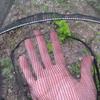 Plant Insect Nets Grow Tunnel Nets All Purpose Garden Netting Shading Cover Garden Netting