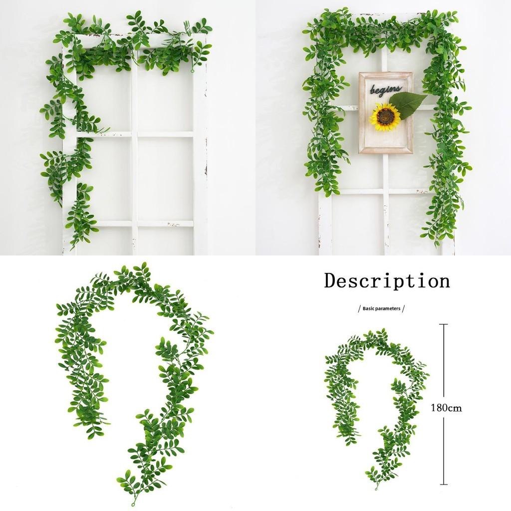 Plastic Plant Common Bowringia Wall Hanging For Wedding Home Decor Interior
