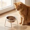 Monkey-shaped Raised Cat Bowls Stainless Steel Pet Feeder Container  Wet Dry Food