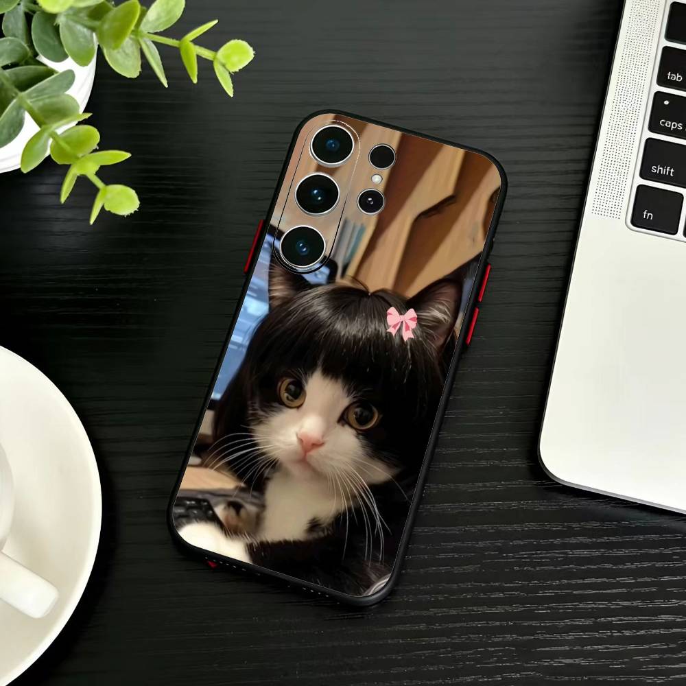Funny Cute Cat  Phone Case For Samsung S26,S25,S24,S23,S22,S30,S21,Ultra,Plus,FE 5G Black Soft Cover
