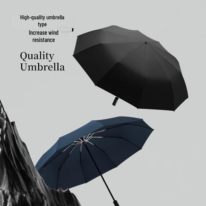Large Reinforced 10-Rib Manual Folding Umbrella