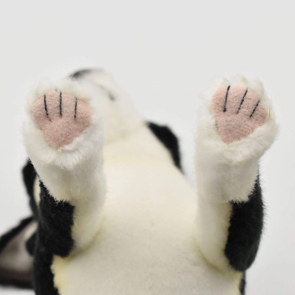 BH6367 HANSA Čivava 27