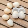5/10Pcs 2-Cell Outdoor Portable Egg Box Plastictray Refrigerator Egg Storage Box Shock-Absorbing And Anti Drop