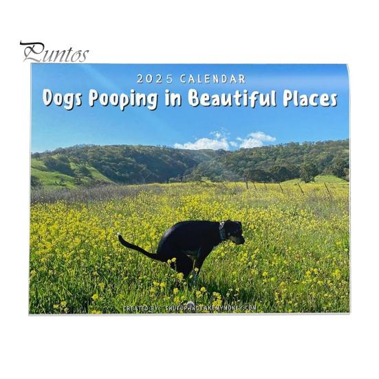 

Календарь 2025 года, напоминание о праздниках, офисный семейный планировщик, ежедневник, органайзер, уникальный узор, печатный настенный ежемесячный календарь D