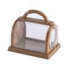 Children's Outdoor Exploration Bug Catching Kit with Net and Observation Box