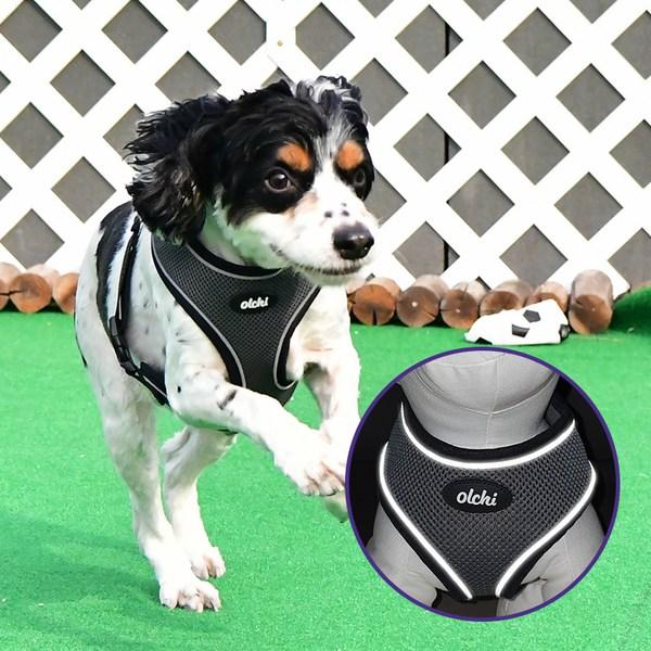 Olchi Night Light Reflective Combi Harness A Dog Walking Leash, Gray