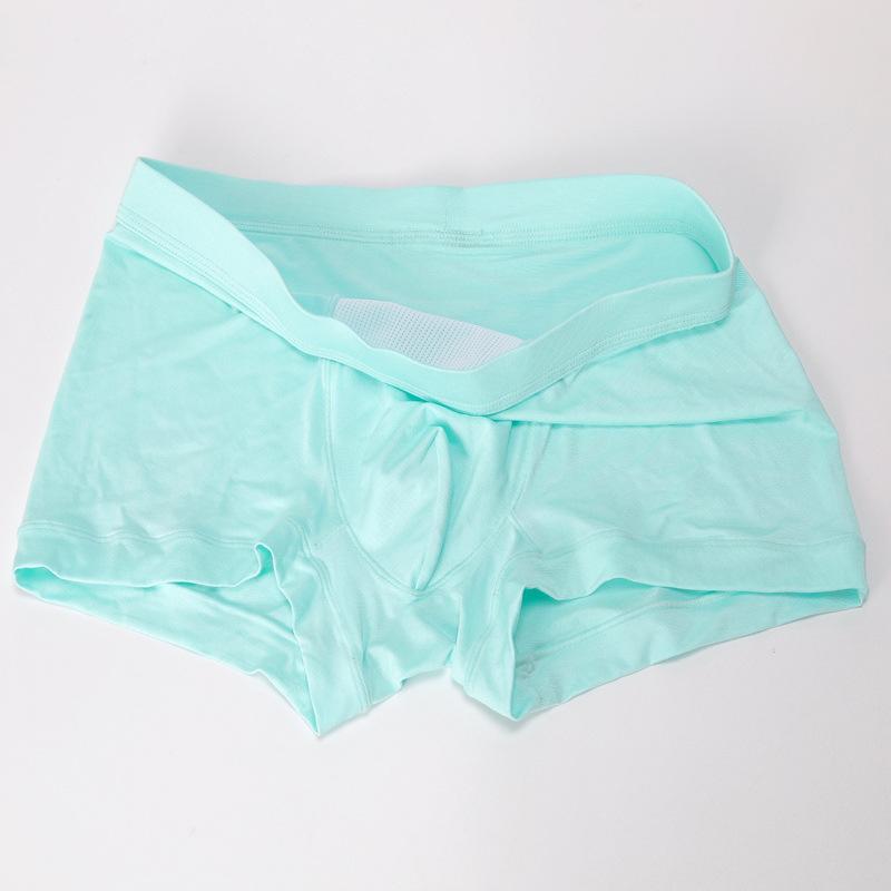 Panties for Man Underwear Sexy Breathable Soft Male Briefs Panty Sexy Transparent Men's Underpants