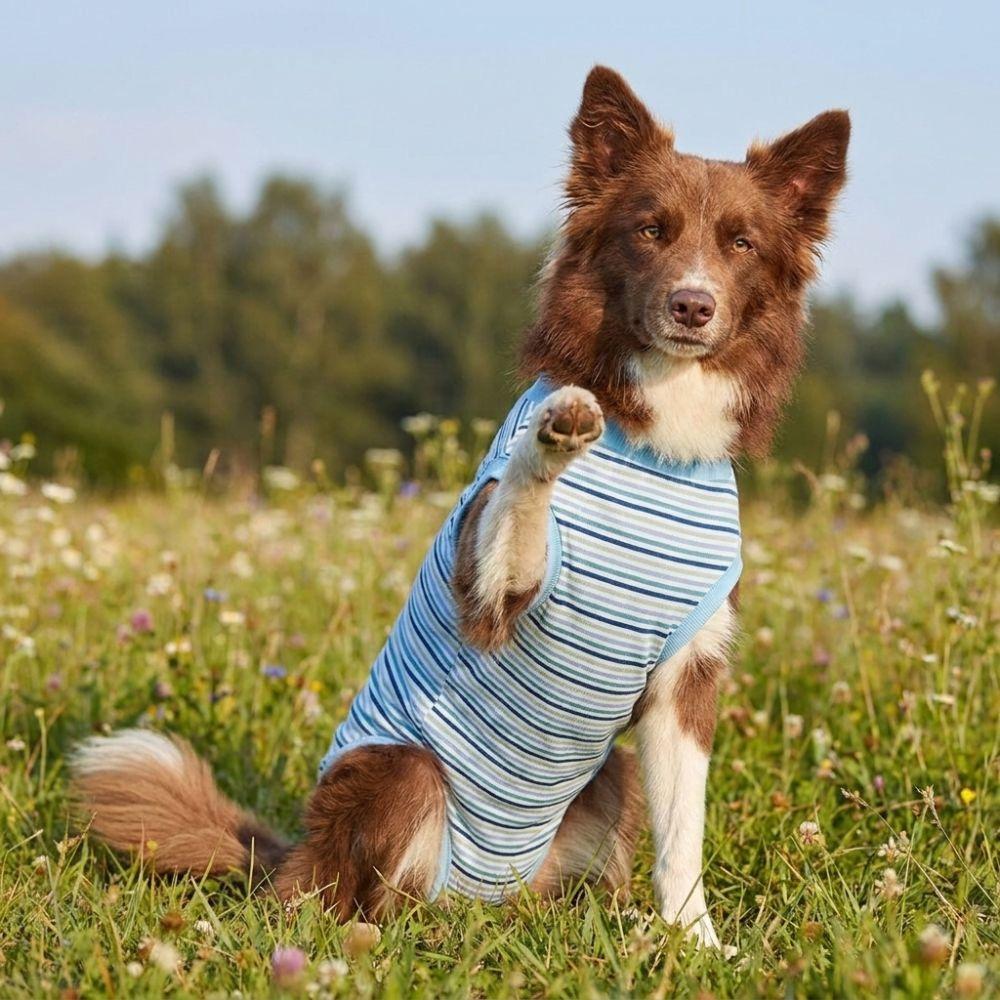 Breathable Dog Sterilization Suit Striped Soft Dog Anti-Licking Jumpsuit Adjustable High Elastic Dog Recovery Suit