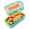 Skater Bento Box, 2-Tier, 600ml, for Women, Antibacterial, Soft Filling, Dome-Shaped Lid, Made in Japan, Sanrio Hangyodon Headpiece, PFLW4AG-A