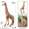 Wild Safari Animal Figurines: Giraffe, Elephant, Rhinoceros, Brown Bear, Tiger, Lion, Leopard, Hippopotamus - Solid Cognitive Toys