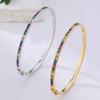Gypsophila Light Luxury High-end Fashionable Colorful Square Buckle Bracelet for Women