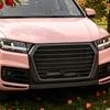Accesorii de exterior – Radiatoare și alte grile