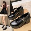 French Mary Jane shoes platform 2025 new British retro high-heeled single shoes Japanese JK muffin small leather shoes women