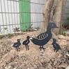 Creative Wrought Iron Duck Family Garden Silhouette Ornaments