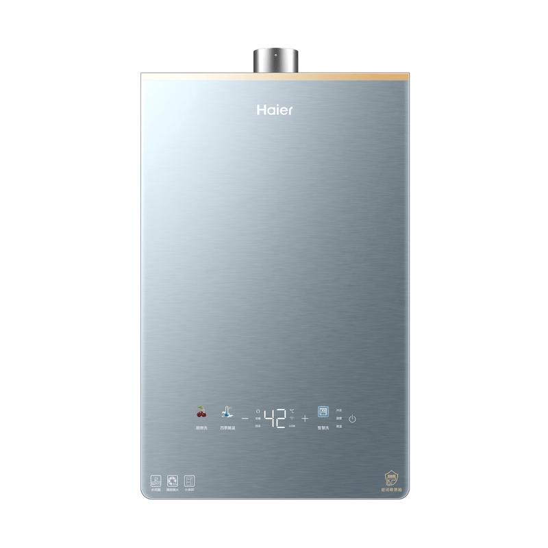 Haier Smart Constant Temperature Gas Water Heater CN plug (adapter included)