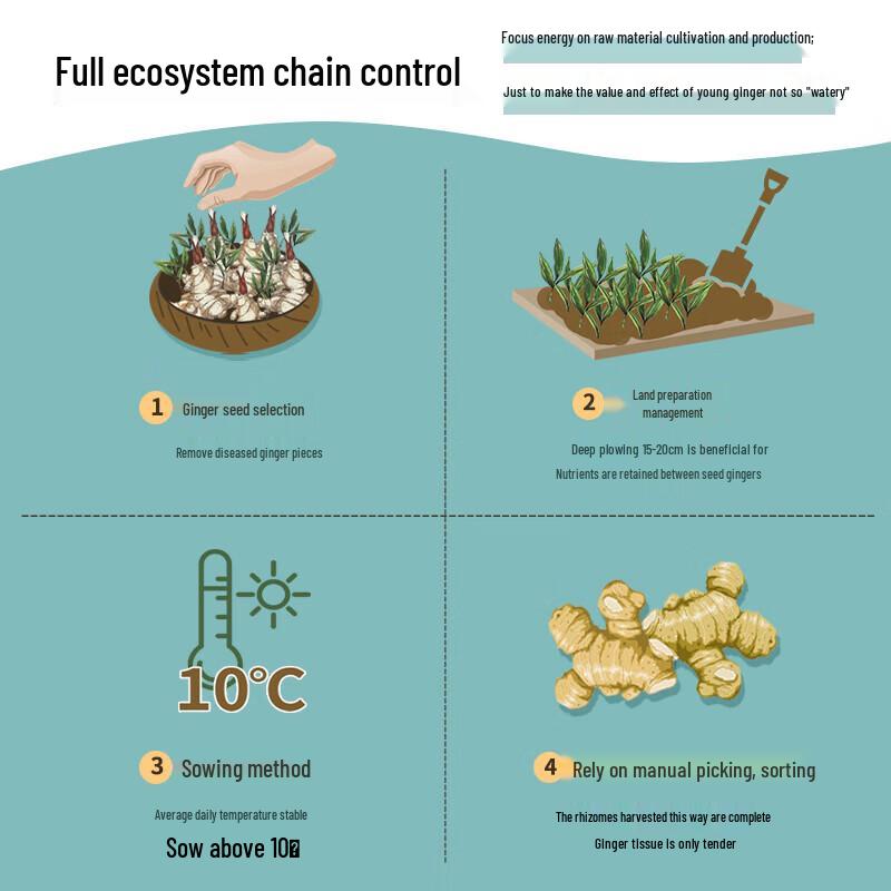 Aoxue Yunnan Small Yellow Ginger Anti-Hair Loss Shampoo & Shower Gel Combo