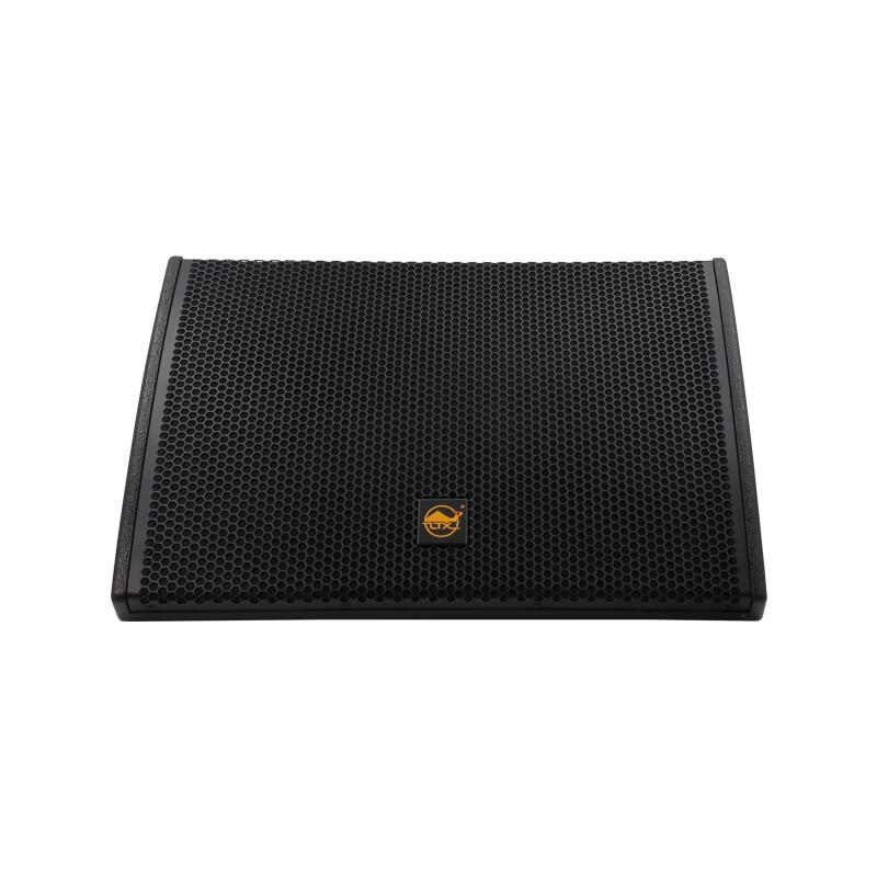 Shengcaigu 12-inch Passive Stage Monitor Speaker