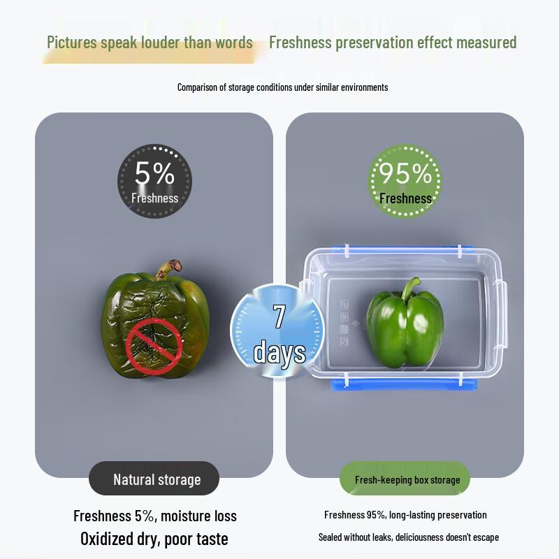 Alliance Rectangular Transparent Food Storage Container - 2-Pack