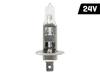 VISION H1 24V 70W P14.5s Bulb