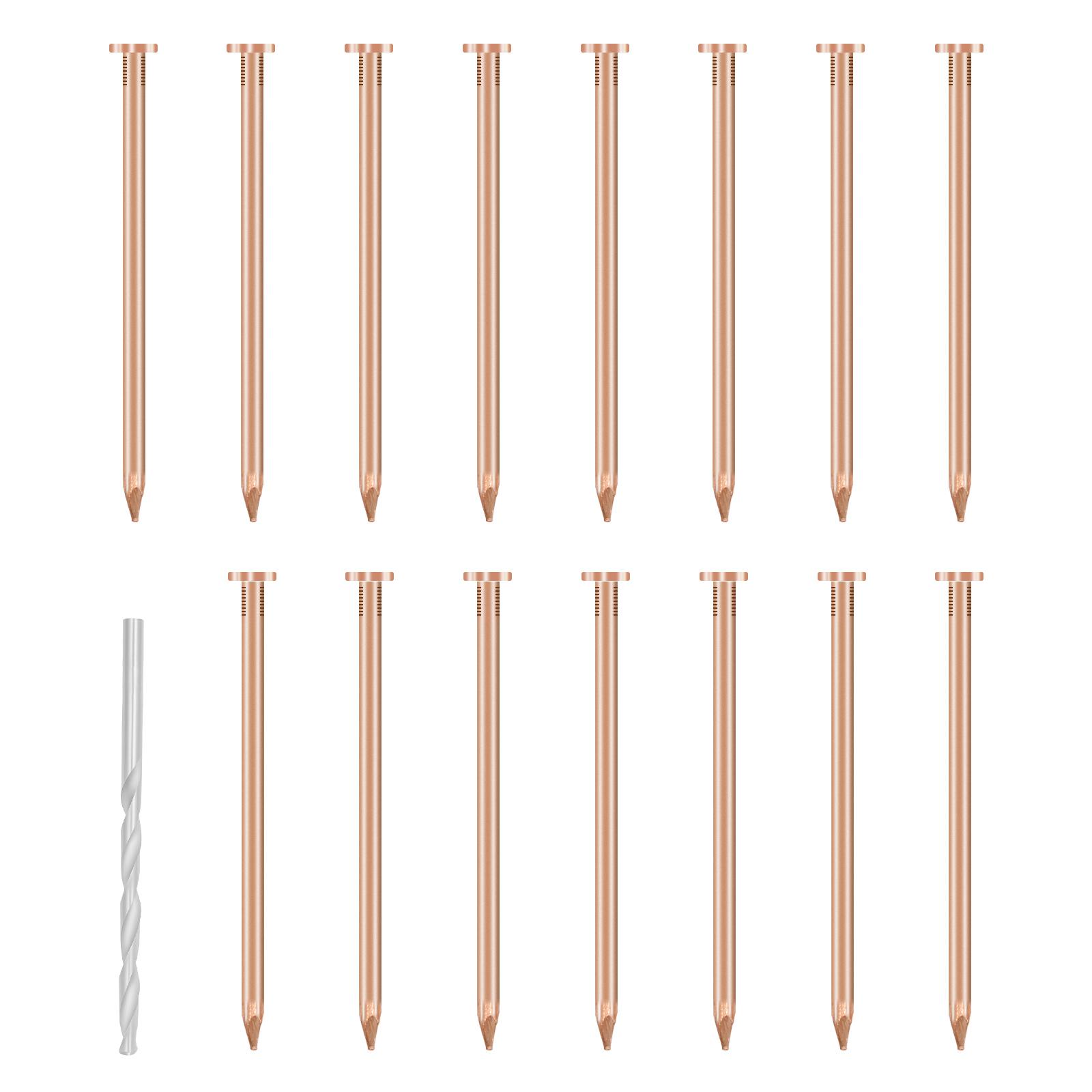 

15/20 Pcs Copper Nail for Killing Trees Stumps Root Stump Removal Spikes Hardware Copper Nail Trees Tool Accessories