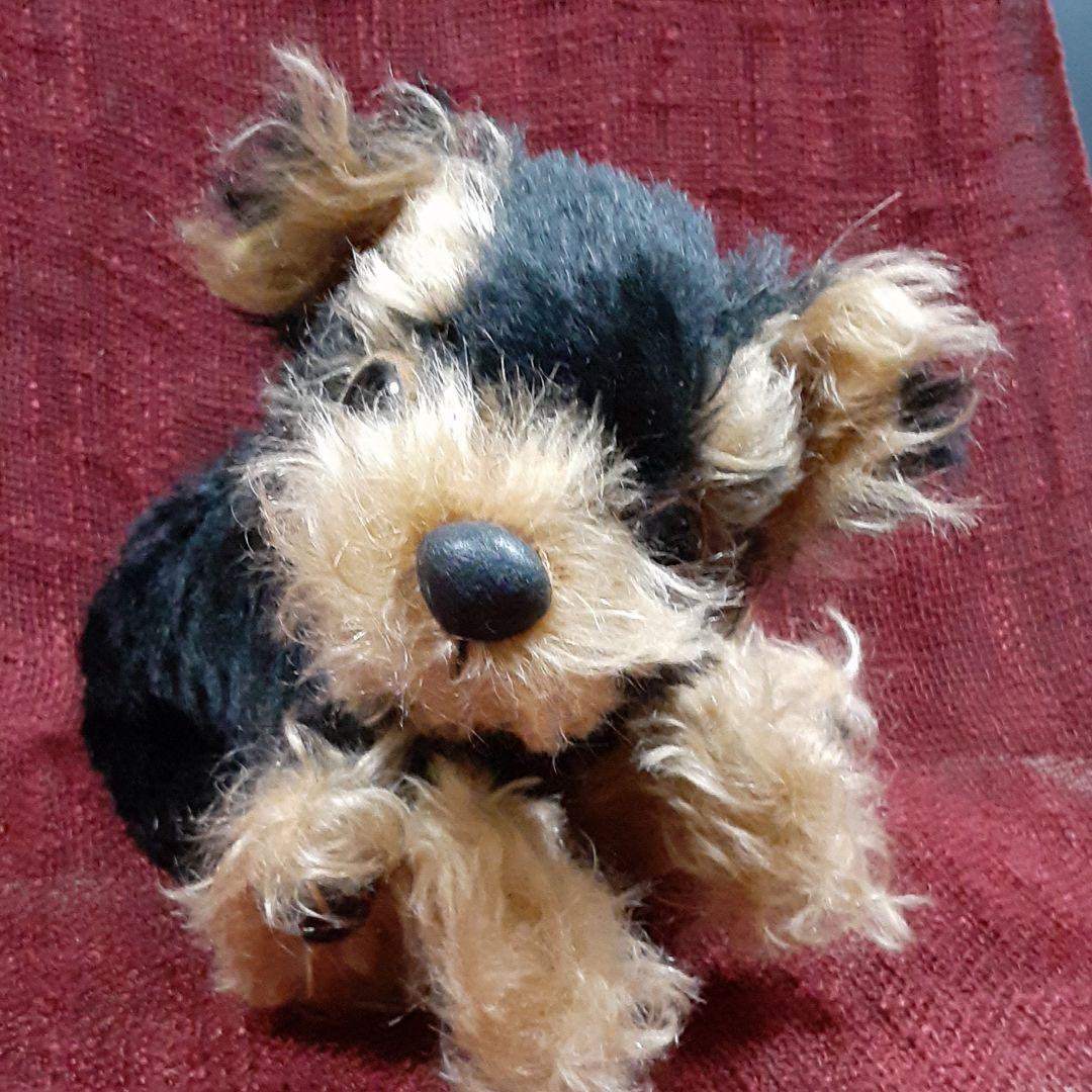 

[USED] Handmade miniature dachshund, designed by a teddy bear artist