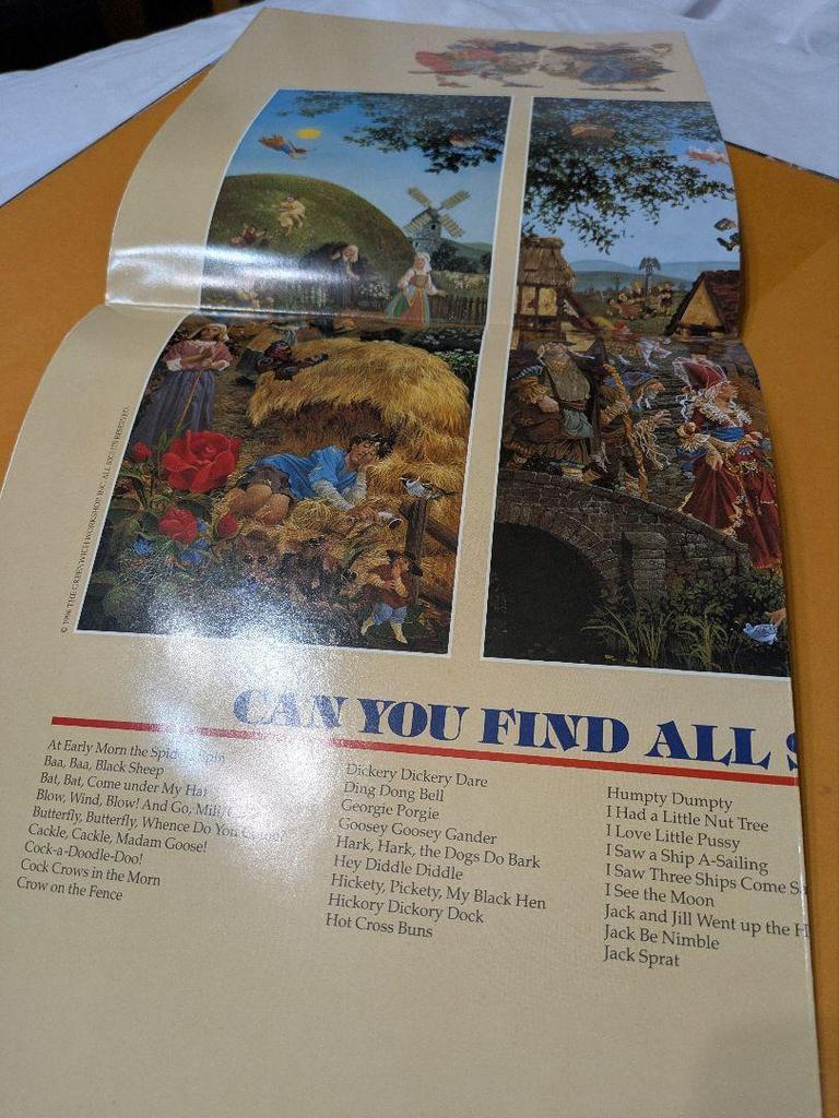 [USED] Picture book Rhymes & Reasons by James Christensen