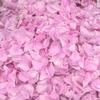 Martina Rose Crema 50ml (Crema idratante)