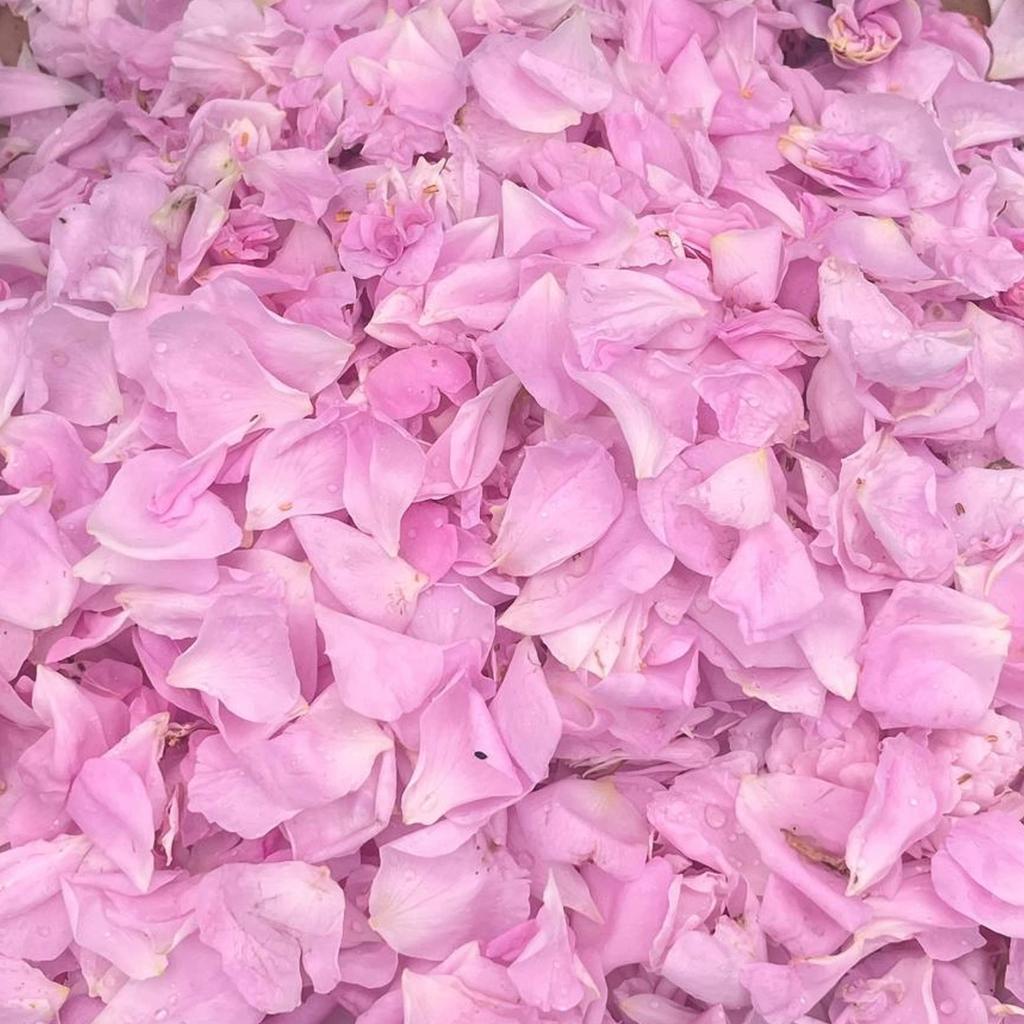 Martina Rose Crema 50ml (Crema idratante)