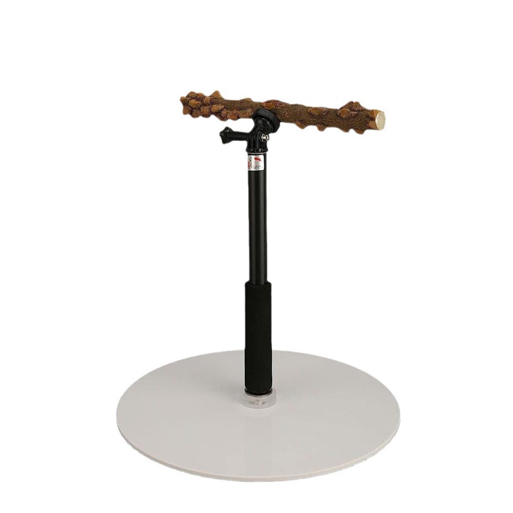 

Регулируемая по высоте подставка для жердочки для птиц, для тренировок птиц в помещении и на открытом воздухе, для волнистых попугаев, аксессуары для попугаев Товары для животных