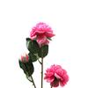 Simulated 3 Hded Peony Decoration Rlistic Artificial Peony Branch for Wedding