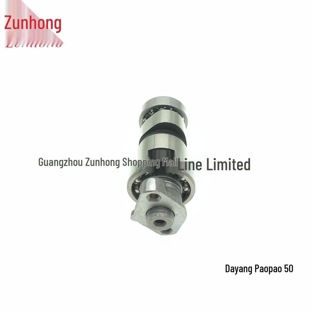 Motorcycle Camshaft for Dayang Paopao 50