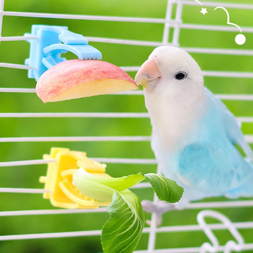 2/4pcs Set Pet Bird Food Holders Parrot Fruit Vegetables Clip Cuttlefish Bone Feeder Device for Pet Parrot Bird Cage Accessories