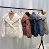 Winter Fashion Down Short Jacket Women Thick Warm Hooded Puffer Coat Outwear