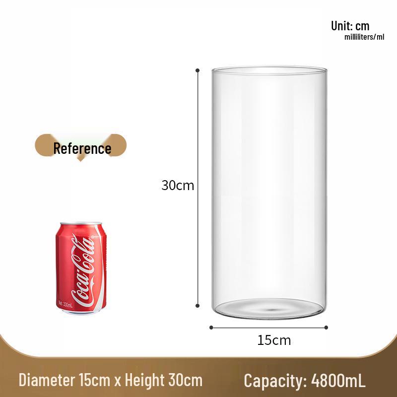 Straight Cylinder Glass Vase for Pothos and Hydroponic Decor