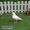 Realistic Pigeon Ornaments: Fake Pigeon Dolls, Wedding Decor, Animal Models, Peace Bird Props